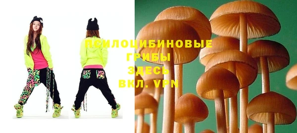 mix Алексин