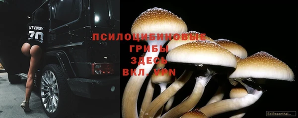 а пвп мука Алзамай