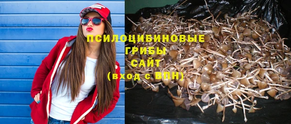 mix Алексин