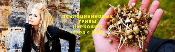 а пвп мука Алзамай