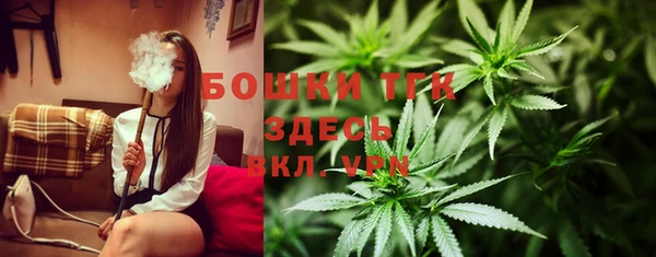 spice Арсеньев