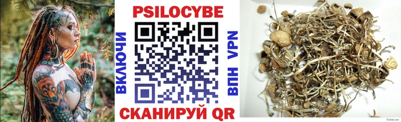 кракен   Ахтубинск  Галлюциногенные грибы GOLDEN TEACHER 